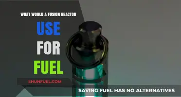 Fusion Fuel Sources: Unlocking Clean Energy's Future with Advanced Reactors