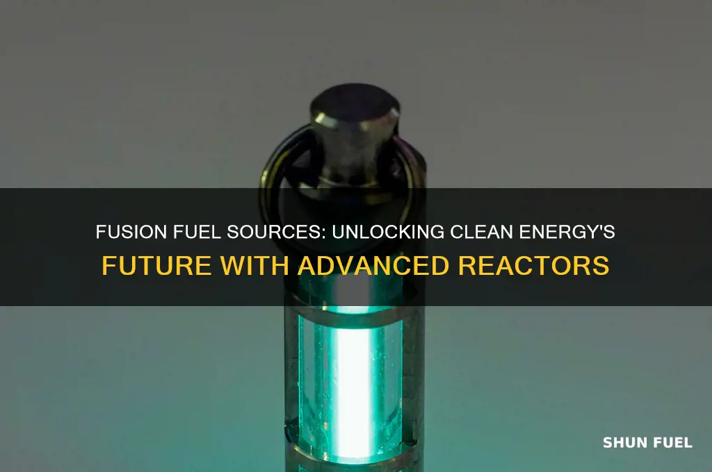 what would a fusion reactor use for fuel