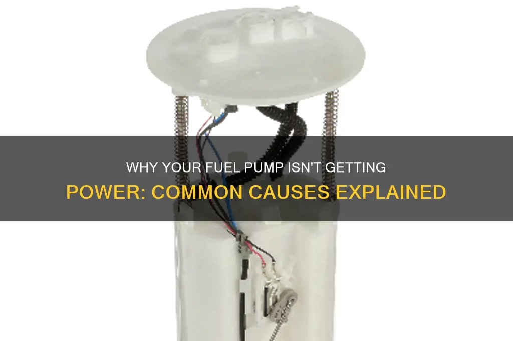 what would cause a fuel pump not to get power
