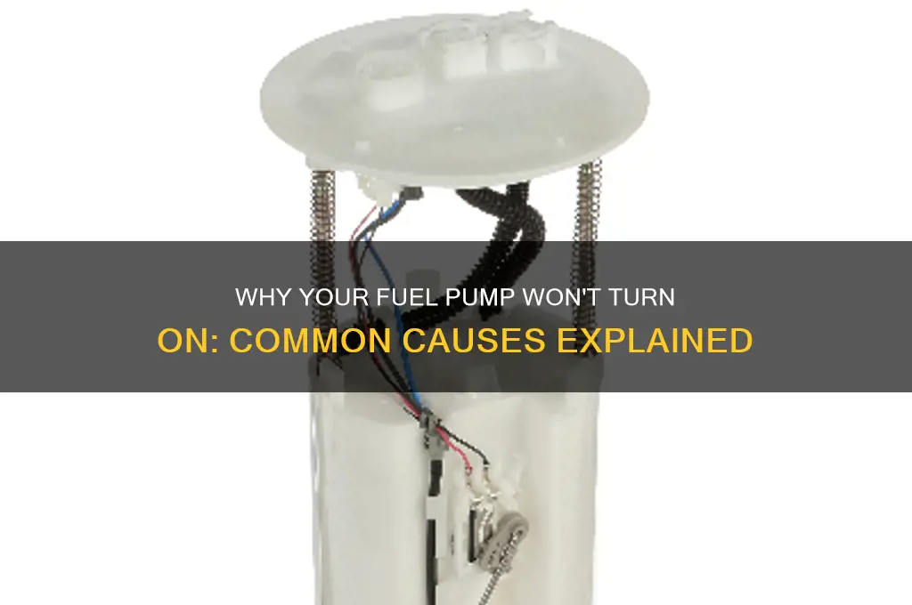 what would cause a fuel pump not to turn on