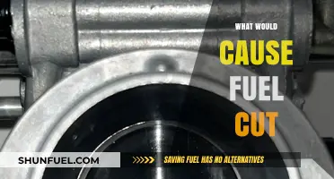 Exploring the Culprits Behind Fuel Cut: A Comprehensive Guide
