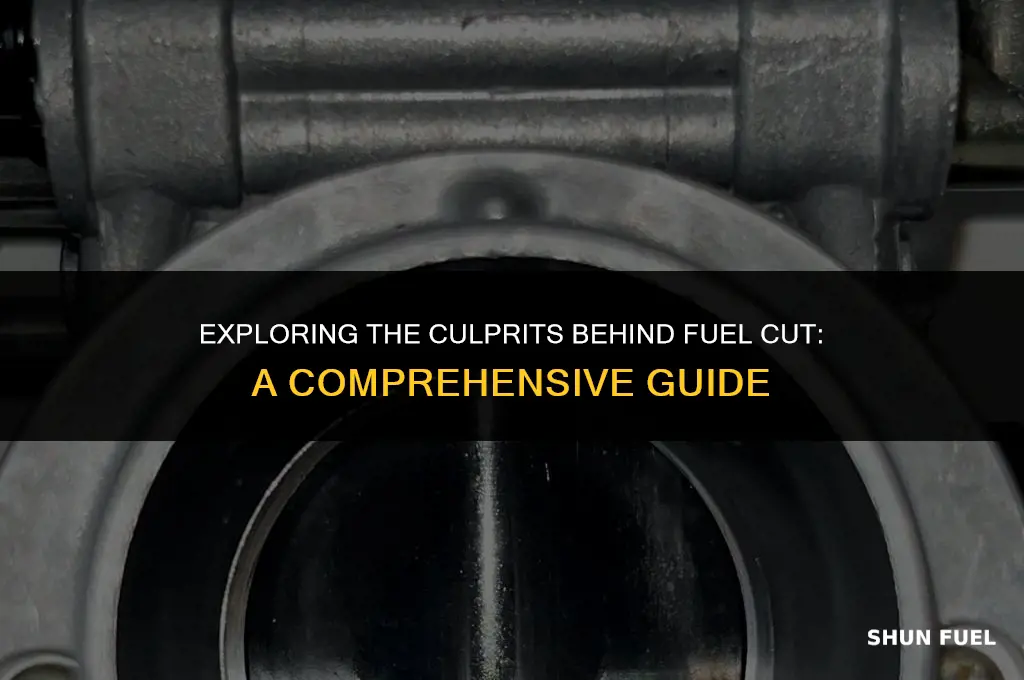 what would cause fuel cut