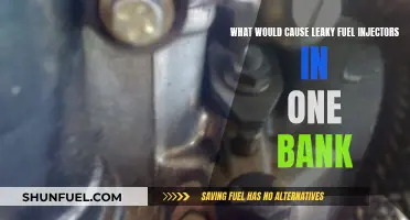 Fuel Injector Leaks: Bank-Wide Issues and Causes