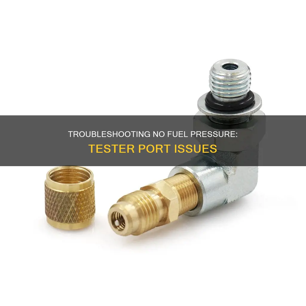 what would cause no fuel pressure at the tester port