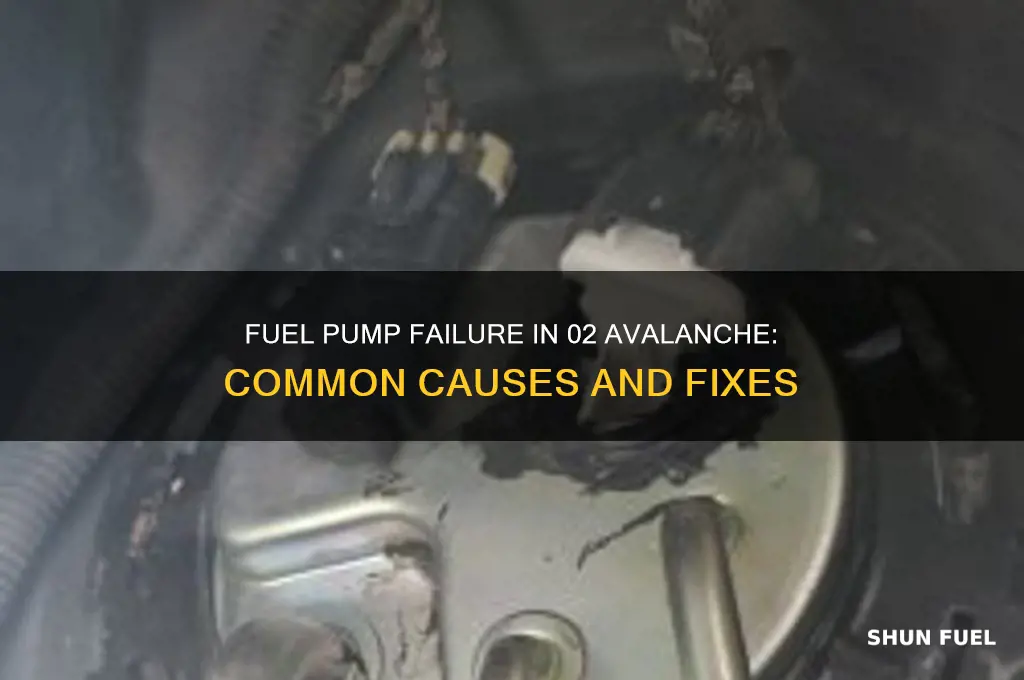 what would effect the fuel pump not working 02avalanche