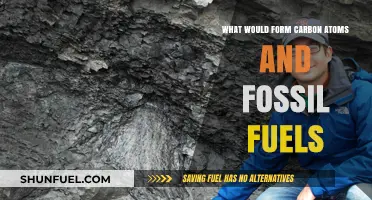 How Ancient Life and Geological Processes Create Carbon Atoms and Fossil Fuels