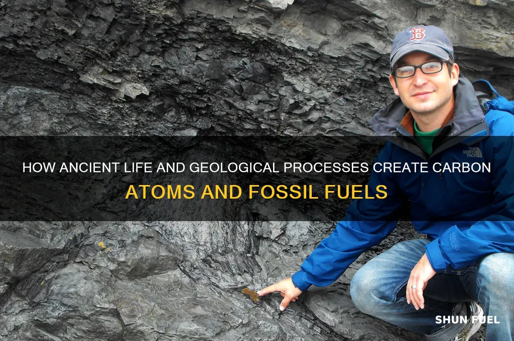 what would form carbon atoms and fossil fuels