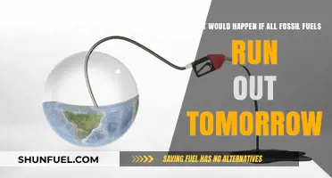 Fossil Fuels Gone: Tomorrow's World Without Oil, Gas, or Coal