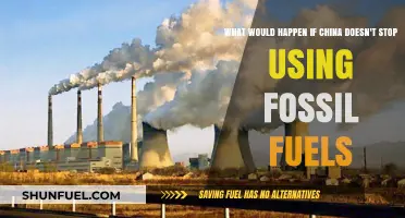 China's Fossil Fuel Dependence: Global Consequences and Climate Crisis Ahead