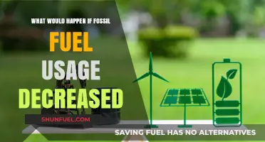 Reducing Fossil Fuels: Exploring the Environmental and Economic Impacts