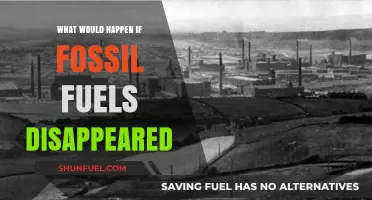 Fossil Fuels Gone: Global Impacts, Challenges, and Sustainable Alternatives