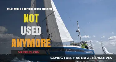 A World Without Fossil Fuels: Impacts, Challenges, and Opportunities