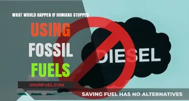 A World Without Fossil Fuels: Impacts, Challenges, and Opportunities
