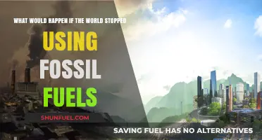 A World Without Fossil Fuels: Impacts, Challenges, and Opportunities