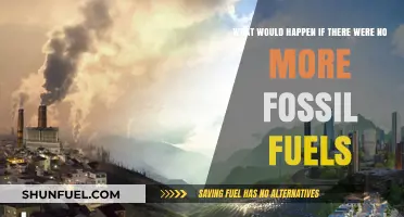 A World Without Fossil Fuels: Impacts, Challenges, and Sustainable Alternatives