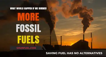 Burning More Fossil Fuels: Accelerating Climate Crisis and Global Consequences