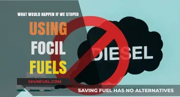 Ending Fossil Fuels: Global Impacts and a Sustainable Future Ahead
