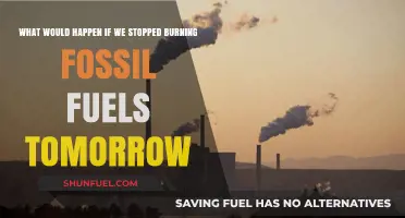 Ending Fossil Fuels Overnight: Immediate Impacts and Long-Term Consequences