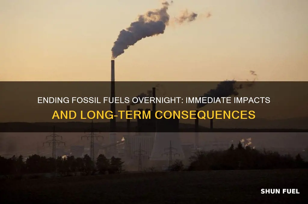 what would happen if we stopped burning fossil fuels tomorrow