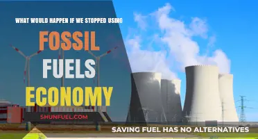 Ending Fossil Fuels: Economic Shifts and Global Impacts Explored