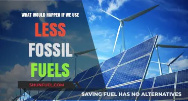 Reducing Fossil Fuel Use: Environmental, Economic, and Social Impacts Explored