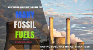 Burning Too Many Fossil Fuels: Consequences for Our Planet's Future