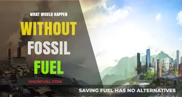 A World Without Fossil Fuels: Impacts, Challenges, and Alternatives