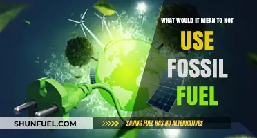 A World Without Fossil Fuels: Imagining a Sustainable Energy Future