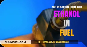 Ending Ethanol in Fuel: Challenges and Solutions for a Sustainable Future