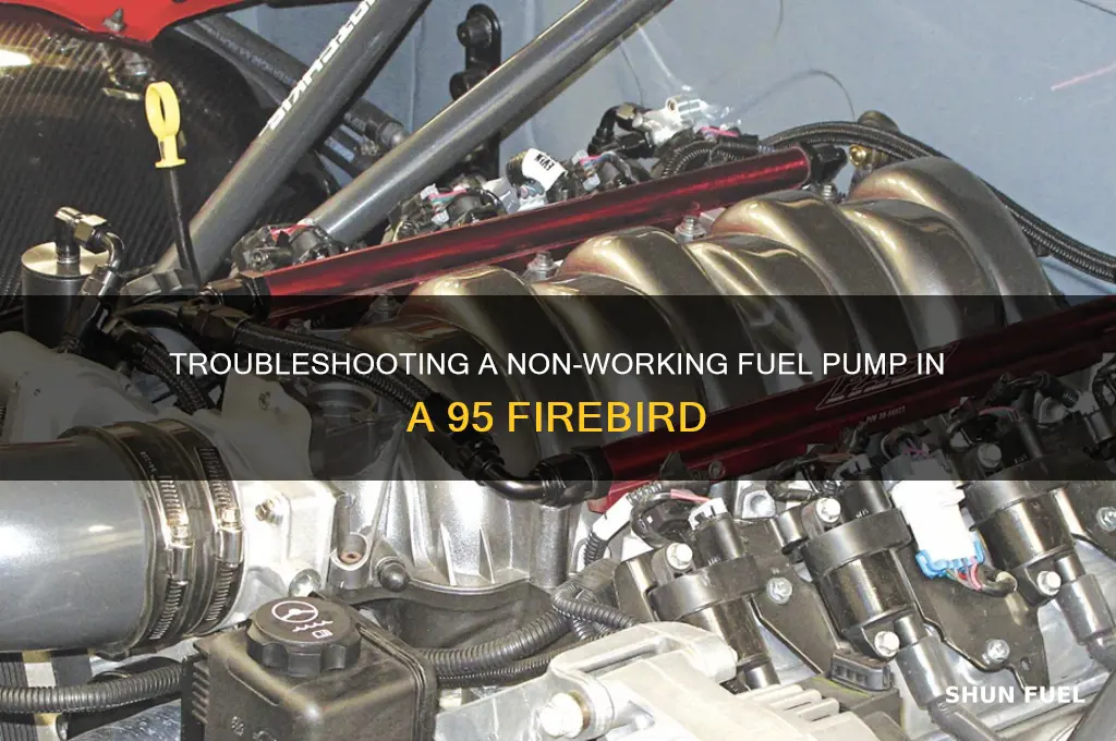 what would make a 95 firebird fuel pump not work