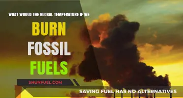 Burning Fossil Fuels: Predicting the Global Temperature Rise