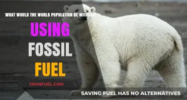 A Fossil-Free World: Imagining Population Dynamics Without Fossil Fuels