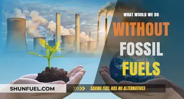 Life Without Fossil Fuels: Exploring Alternatives for a Sustainable Future