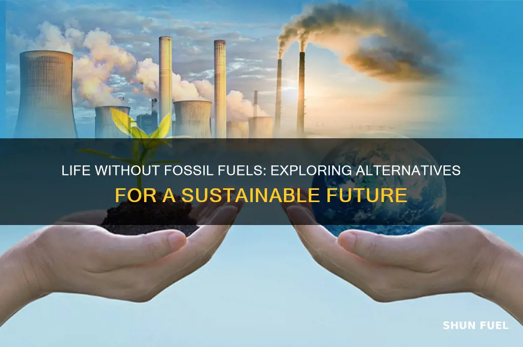 what would we do without fossil fuels