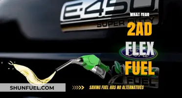 Exploring the Future of Fuel: 2AD's Flex Fuel Innovation