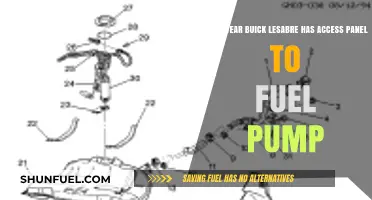 Buick LeSabre Fuel Pump Access Panel: Which Year Has It?