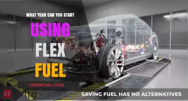 When Can You Begin Using Flex Fuel in Your Vehicle?