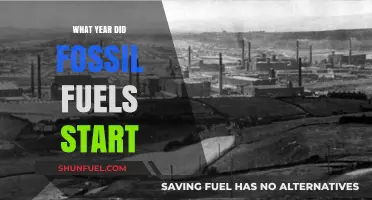 Tracing the Origins: When Did Fossil Fuels Begin Dominating Energy?
