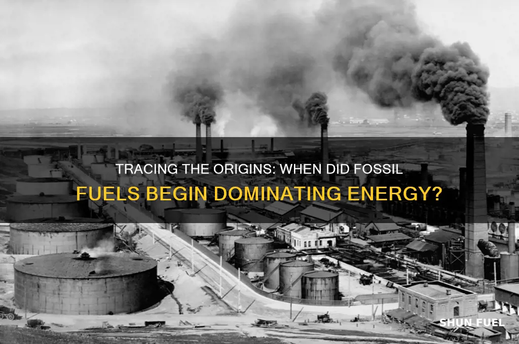 what year did fossil fuels start