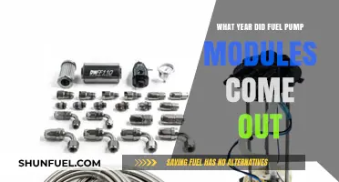 When Did Fuel Pump Modules Debut: A Historical Overview