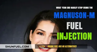 Harley's Shift: When Did the Magnuson-Morelli Fuel Injection End?
