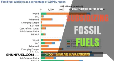 When Did the US Start Subsidizing Fossil Fuels?