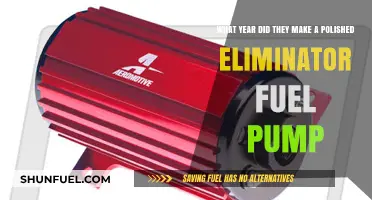 Polished Eliminator Fuel Pump: Year of Production Unveiled