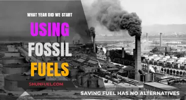 The Dawn of Fossil Fuels: Tracing Their Industrial Revolution Origins