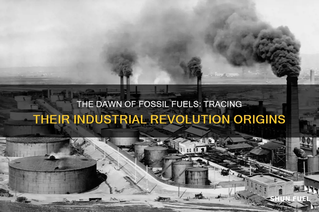 what year did we start using fossil fuels