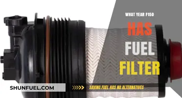 Fuel Filter F150s: Which Years Require Them?
