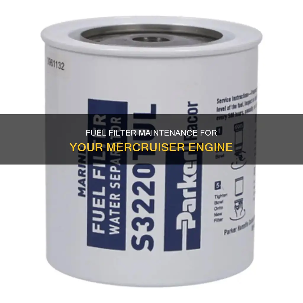 what year fuel filter cannoster mercruiser