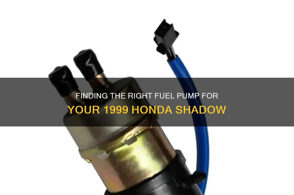 what year fuel pump fits on 1999 honda shadow