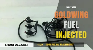 Revolutionizing Flight: The Year Goldwing Embraced Fuel Injection Technology