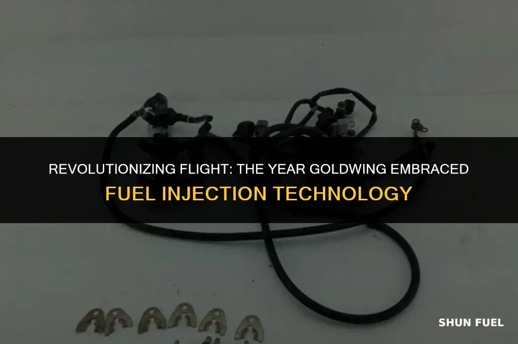 what year goldwing fuel injected